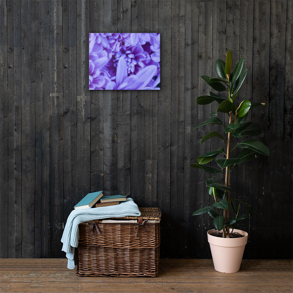 Purple Flowers