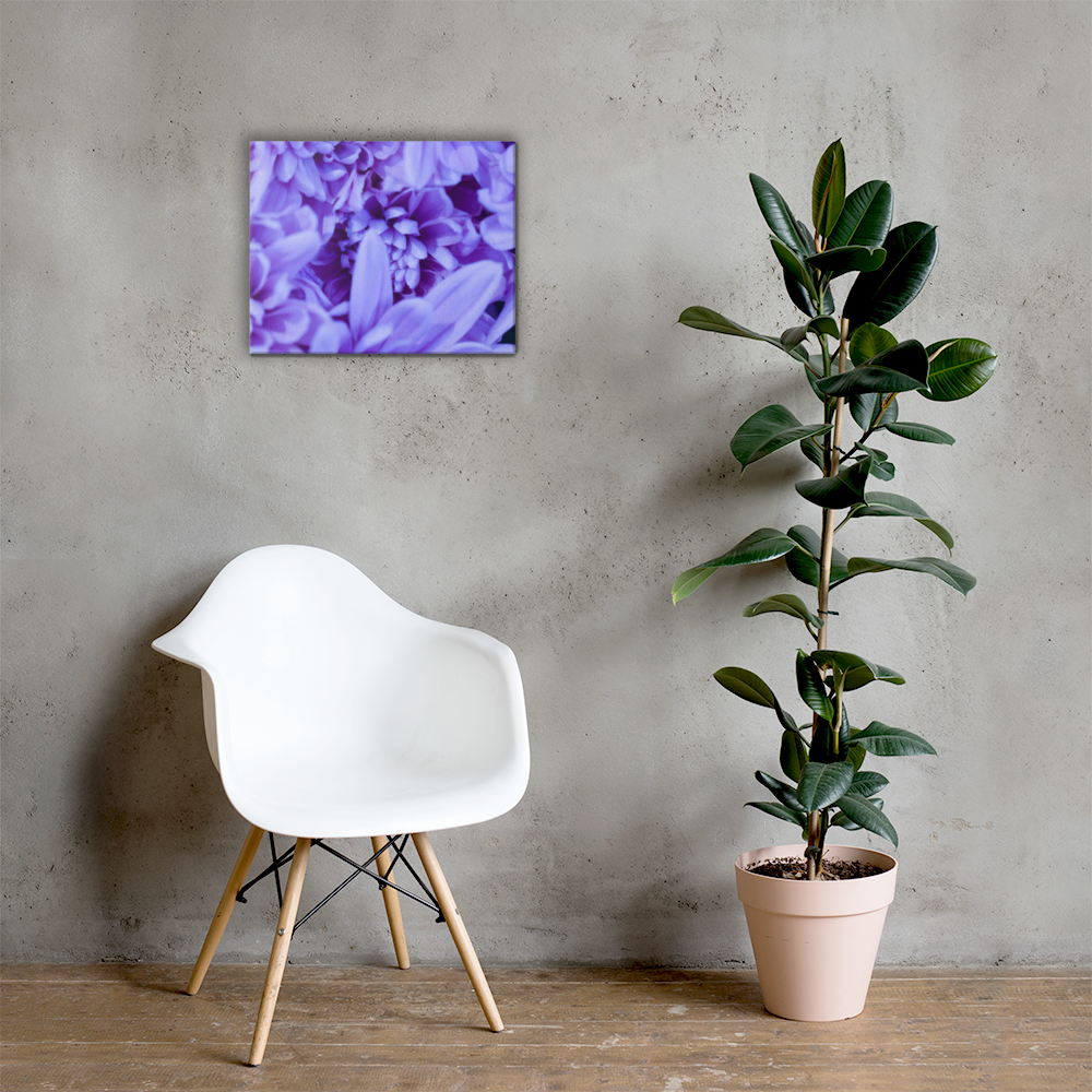 Purple Flowers