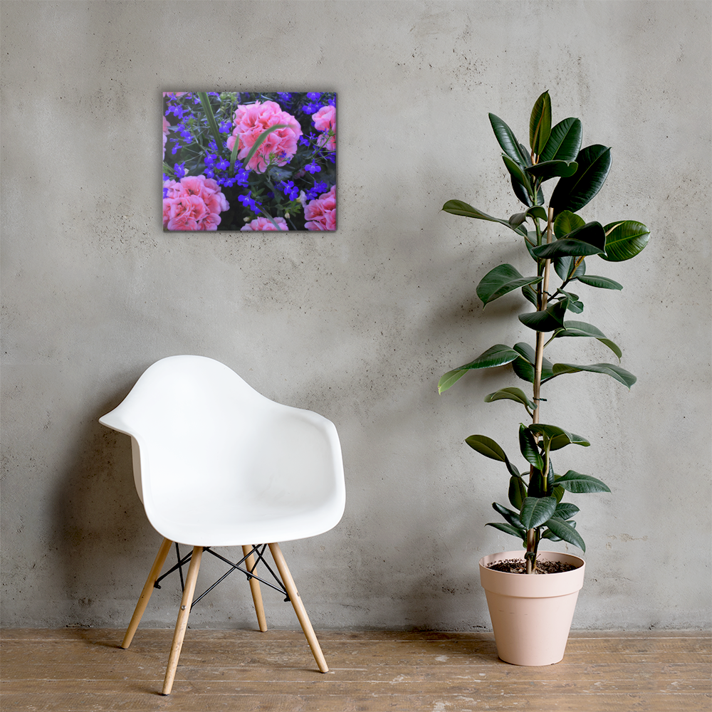 Pink and Purple Flowers
